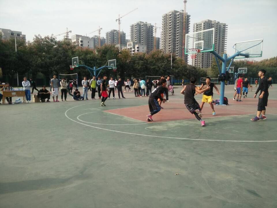 64体育APP下载图片