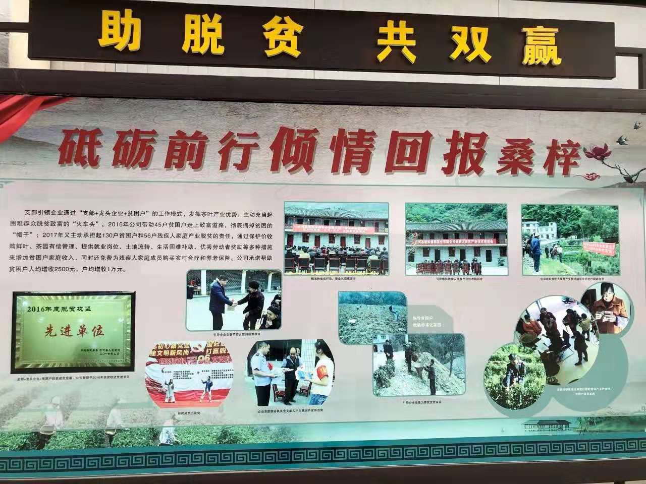 64体育指定入口图片