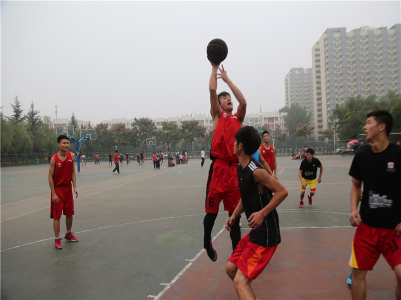 64体育官方线路