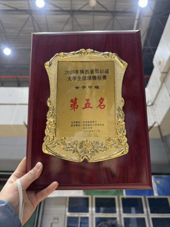 64体育APP下载图片