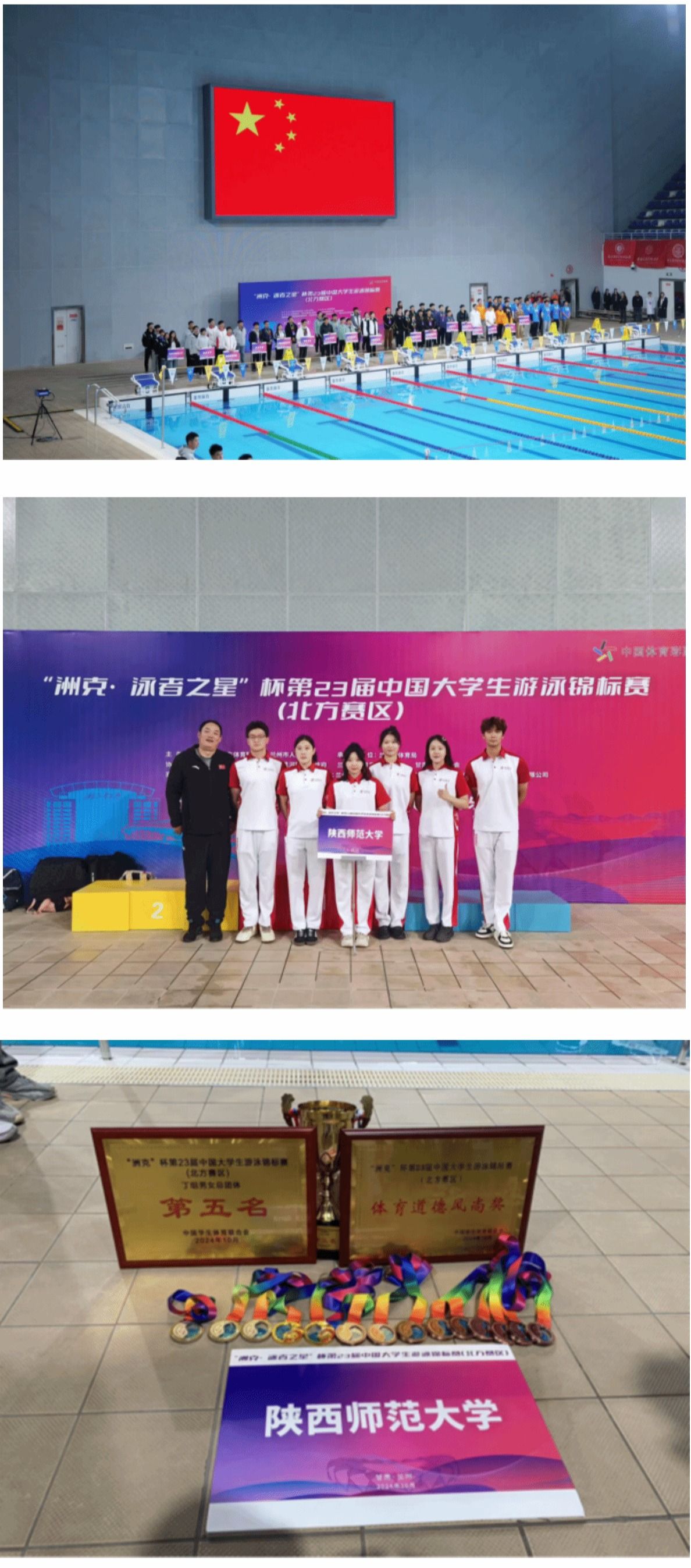64体育官方指定端