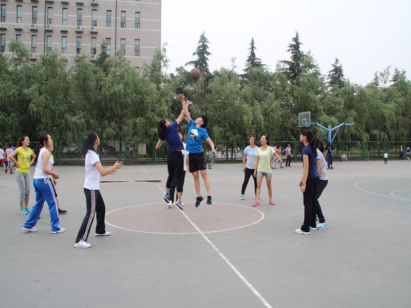 64体育官方指定端