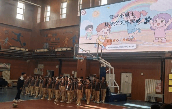 64体育APP下载图片