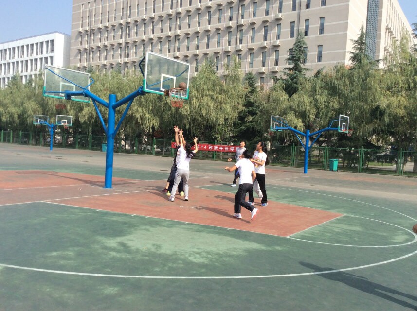 64体育官方线路